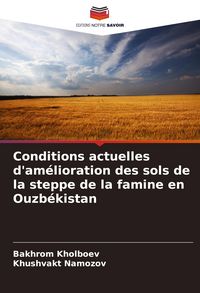 Produktbild: Conditions actuelles d'am&eacute;lioration des sols de la steppe de la famine en Ouzb&eacute;kistan