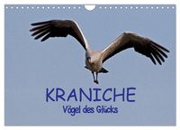 Produktbild: Kraniche - V&ouml;gel des Gl&uuml;cks (Wandkalender 2026 DIN A4 quer), CALVENDO Monatskalender