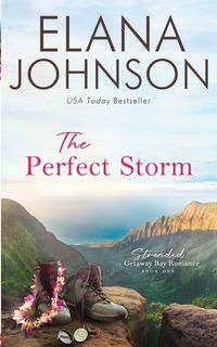 Produktbild: The Perfect Storm
