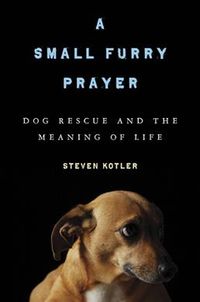 Produktbild: Small Furry Prayer