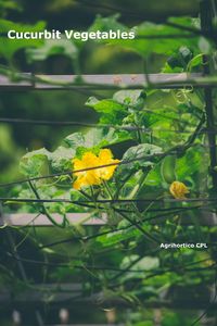 Produktbild: Cucurbit Vegetables