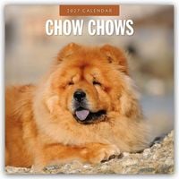 Produktbild: Chow Chows &ndash; Chow Chow 2027 &ndash; 16-Monatskalender