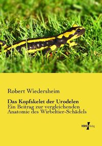 Produktbild: Das Kopfskelet der Urodelen