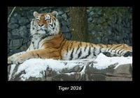 Produktbild: Tiger 2026 Fotokalender DIN A3
