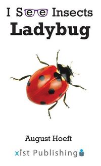 Produktbild: Ladybug