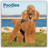 Produktbild: Poodles &ndash; Pudel 2027 &ndash; 16-Monatskalender