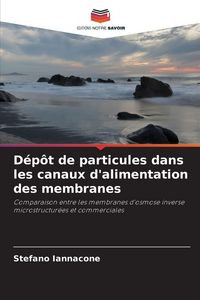 Produktbild: D&eacute;p&ocirc;t de particules dans les canaux d'alimentation des membranes