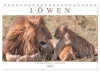 Produktbild: L&ouml;wen - Raubkatzen Afrikas (Tischkalender 2026 DIN A5 quer), CALVENDO Monatskalender