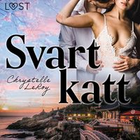 Produktbild: Svart katt - erotisk novell