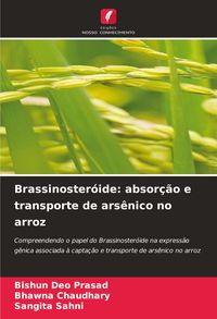Produktbild: Brassinoster&oacute;ide: absor&ccedil;&atilde;o e transporte de ars&ecirc;nico no arroz