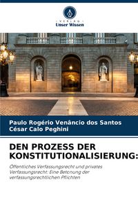 Produktbild: Den Prozess der Konstitutionalisierung: