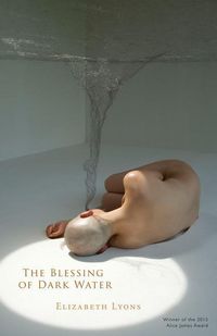 Produktbild: The Blessing of Dark Water