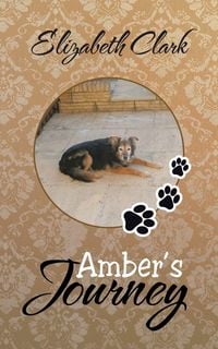 Produktbild: Amber's Journey
