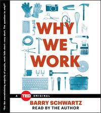 Produktbild: WHY WE WORK                 3D