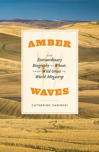 Produktbild: Amber Waves