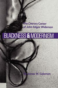 Produktbild: Blackness and Modernism