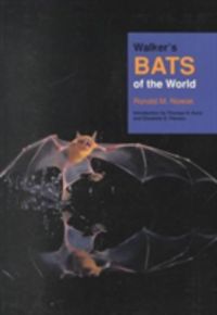 Produktbild: Nowak, R: Walker's Bats of the World