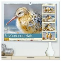 Produktbild: Entz&uuml;ckende Kiwis. Neuseelands kleiner Laufvogel am Meer (hochwertiger Premium Wandkalender 2027 DIN A2 quer), Kunstdruck in Hochglanz