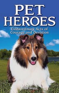 Produktbild: Pet Heroes