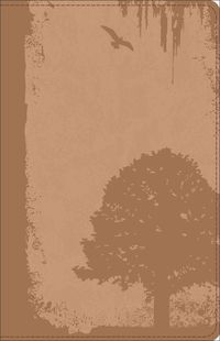 Produktbild: DiMarco, M: God Guy Bible