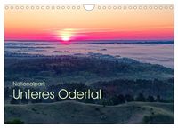 Produktbild: Nationalpark Unteres Odertal (Wandkalender 2027 DIN A4 quer), CALVENDO Monatskalender