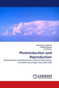 Produktbild: Photoinduction and Reproduction