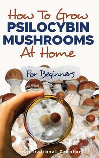 Produktbild: How to Grow Psilocybin Mushrooms at Home for Beginners