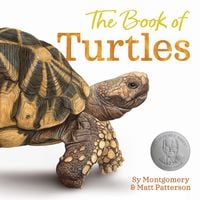 Produktbild: The Book of Turtles