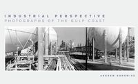 Produktbild: Industrial Perspective