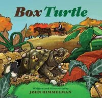Produktbild: Box Turtle