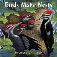 Produktbild: Birds Make Nests