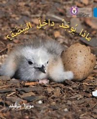 Produktbild: What's in the Egg?