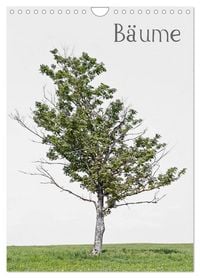 Produktbild: B&auml;ume (Wandkalender 2027 DIN A4 hoch), CALVENDO Monatskalender