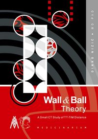 Produktbild: Wall & Ball Theory