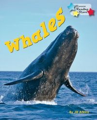 Produktbild: Whales