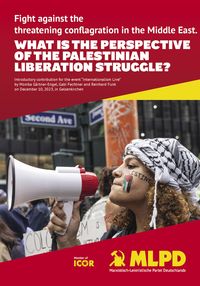 Produktbild: What is the perspective of the palestinian liberation struggle?