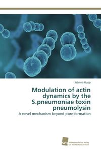 Produktbild: Modulation of actin dynamics by the S.pneumoniae toxin pneumolysin