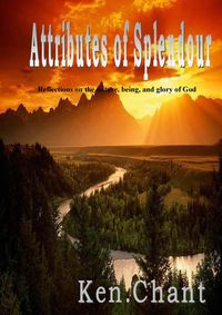Produktbild: Attributes Of Splendour