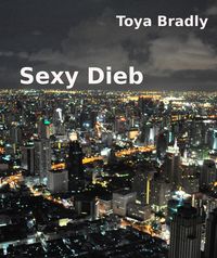 Produktbild: Sexy Dieb