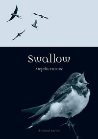 Produktbild: Turner, A: Swallow