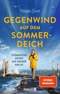 Produktbild: Gegenwind auf dem Sommerdeich