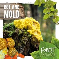 Produktbild: Rot & Mould