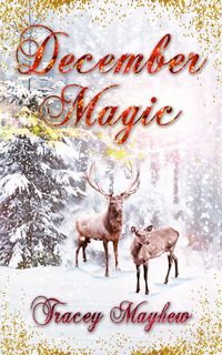 Produktbild: December Magic