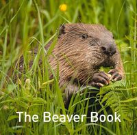 Produktbild: Nature Book Series: The Beaver Book