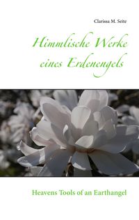 Produktbild: Himmlische Werke eines Erdenengels