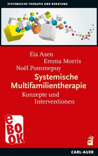 Produktbild: Systemische Multifamilientherapie