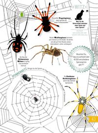 Insekten & Co.