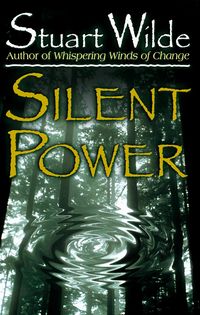 Produktbild: Silent Power