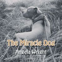 Produktbild: The Miracle Dog