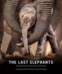 Produktbild: The Last Elephants